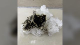 Biodegradowalne, trudnopalne zszywki z Lyocellu 1,33D*38MM, równomiernie przycięte włókno do przędzenia i nonwo