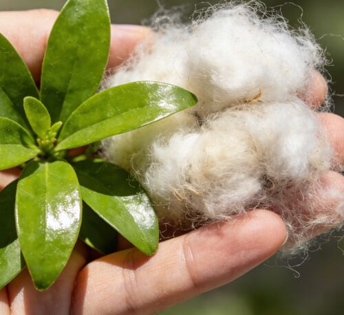 Najnowsze wiadomości o Włókna puste czarno-białe: wybór z wyboru dla przemysłu tekstylnego i przemysłowego