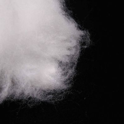 kupować Propylen Side By Side Sztuczne, lekkie włókna z poliestru produkcja online