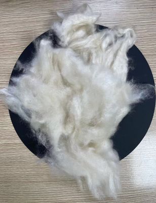 Dobra cena. Strong and Durable Sustainable Kapok Fiber w Internecie