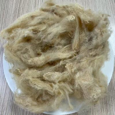 Dobra cena. 6D Włókno poliestrowe z recyklingu 51mm Beżowe Wysoka wytrzymałość w Internecie