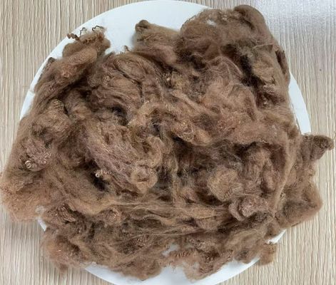 Dobra cena. Włókno podstawowe z poliestru z recyklingu 2,5D 51mm Żółta kawa Wysoka odporność na zmarszczki w Internecie